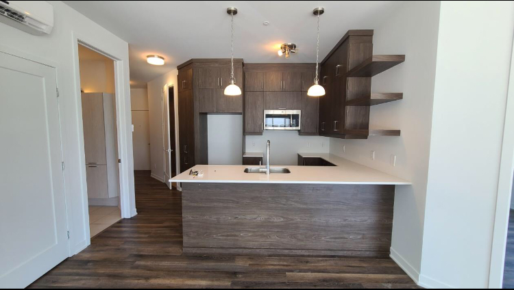 Rent residential apartment 899.86sqf. in Brossard, Quebec, Canada image 8